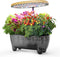 12 Pods Hydroponics Growing System Indoor Herb Garden with LED Growth Lamp