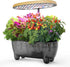 12 Pods Hydroponics Growing System Indoor Herb Garden with LED Growth Lamp