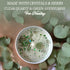 Healing Aromatherapy Candle in Tin Holder, 100% Natural Coconut Wax with Eucalyptus & Lavender Essential Oils