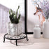 4 Pieces Metal Potted Plant Stand Round Iron Floor Flower Supports Holder Decorative Garden Pots Containers Stand