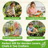 15-Pack 4,500+ Pack Herb Seeds Non-GMO Heirloom Seeds for Planting Indoor & Outdoor Herb Garden Kit with Basil