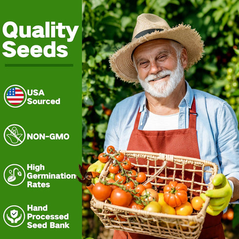 6 32 30,000+ Lush&Dew Year-Round USDA Zone Heirloom Survival Seed Kit, Varieties Non-GMO Seeds for Planting Vegetables