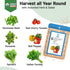 8 600+ Herb & Salad Seed Pods for All Hydroponics Growing Systems, Pods with Seeds of Basil, Spinach, Romaine, Red