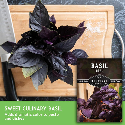 (1 Pack) Opal Basil Seeds for Planting - Dark Opal Basil with Purple Leaves - Unique Herb Seed Variety - Heirloom