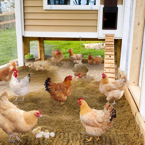 Chicken Mirror Toy for Coop Hens Chicks Hanging Accessories with Bell