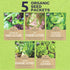 Pack 5 Packs 2026 Organic Lettuce & Greens Seeds Variety - Individual - Season - Buttercrunch, Gourmet Mix, Romaine