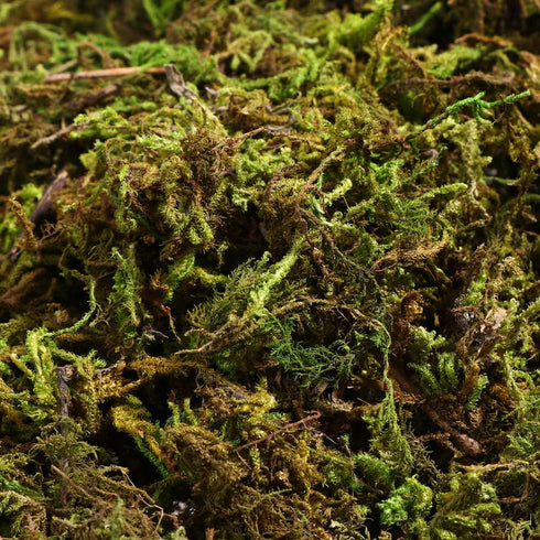VOSAREA 1 Pack Artificial Moss Fake Lichen Simulation Green Faux Pot Moss for DIY Miniature House (About 60g)