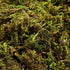 VOSAREA 1 Pack Artificial Moss Fake Lichen Simulation Green Faux Pot Moss for DIY Miniature House (About 60g)