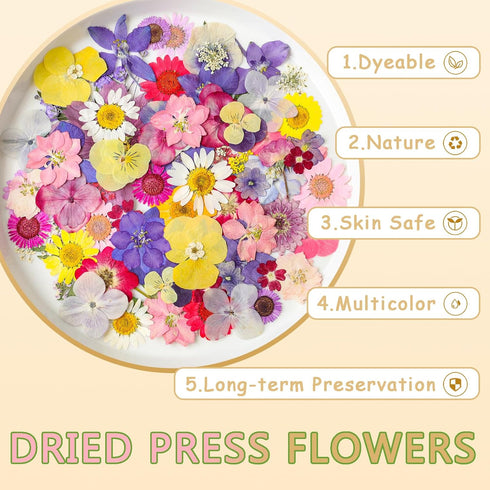 Gvhntk Dried Pressed Flowers Real Pressed Flowers Natural Dry Leaves Bulk Mixed Colorful Herbs Kit with Tweezers