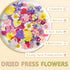 Gvhntk Dried Pressed Flowers Real Pressed Flowers Natural Dry Leaves Bulk Mixed Colorful Herbs Kit with Tweezers