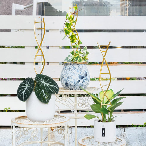 3PCS Yohsnor DNA Plant Trellis Indoor and Outdoor - Lightweight Metal Trellis for Potted Plants, Hoya & Pothos Climbing