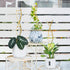 3PCS Yohsnor DNA Plant Trellis Indoor and Outdoor - Lightweight Metal Trellis for Potted Plants, Hoya & Pothos Climbing