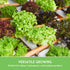 10 Lettuce Seeds for Planting | Heirloom Lettuces Buttercrunch, Romaine, Iceberg, Oakleaf, Simpson, Salad Bowl, Lolla