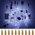 Wine Bottle Lights with Cork, 10 Pack, Battery Operated LED Mini String Lights for Decor