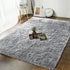 IR Imperial Rooms 4x6 Feet Grey Luxury Area Rug, Soft Fluffy Shaggy Carpet for Living Room, Non-Slip Home Decor