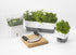 Cole & Mason Triple Self-Watering Herb Keeper - Burwell