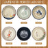 Tioncy Set of 12 Japanese Retro Style Tableware Soy Sauce Dish Set 6 Pcs Asian Soup Spoons 6 Pcs Ramen Spoon Appetizer Plates 3.8 Inch Japanese Rice Spoon for Sushi Sauce Snack