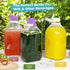 2 Pack 64 Oz 1 3 2 2 1/2 Heavy Duty Glass Milk Bottle with Silicone Spout and Reusable Airtight SCREW LID, Qt Glass