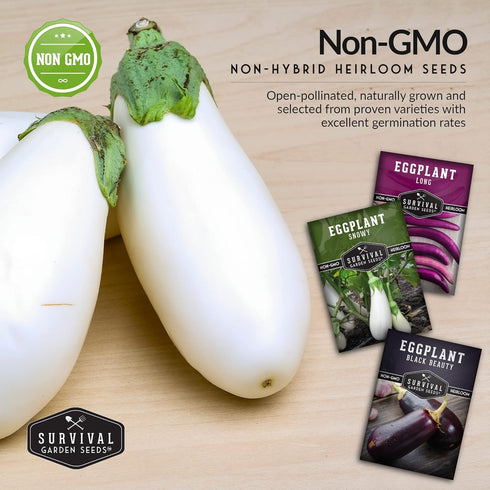3 Survival Garden Seeds Eggplant Collection Varieties - Long Purple Italian, Black Beauty & Snowy Eggplant Seeds