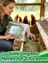 20OZ Chicken Nesting Herbs for Outdoor Indoor Chicken Coop - Natural Egg-Laying Box Feed Herbs for Freshening Bedding