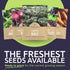 Pack 13 Packs 2026 Organic Cool Weather Spring & Fall Seeds Variety - Individual - Season - Carrots, Beets, Spinach