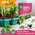 50 Pack 34,455+ Packets Seedphony Gourmet Garden Vegetable Seeds Variety - Non-GMO Heirloom Vegetables Seeds