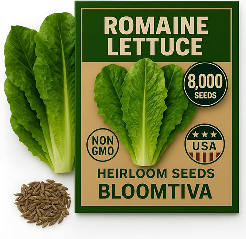 Bloomtiva Romaine Lettuce Seeds Parris Island Cos, 8000+ Heirloom Non-GMO Seeds, High Germination