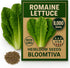Bloomtiva Romaine Lettuce Seeds Parris Island Cos, 8000+ Heirloom Non-GMO Seeds, High Germination