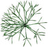 Alpine Corporation 16"H Indoor Holiday 3D Snowflake Ornament - LED Lights, Green Christmas Decoration