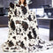 Cow Print Blanket Soft Cute Throw for Couch Bed Sofa, Cozy Fleece