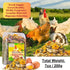 7oz 12 Chicken Nesting Herbs for Chicken Coop - Nesting Box Herbs with Dried Floral Herbs for Chickens, Coop Refresher