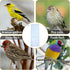 Wild Bird Feeder Sock, 6PCS Finch Feeders for Outside, Bird Seed Sock Feeder Bag Net for Finch Thistle (White, 28 X 12