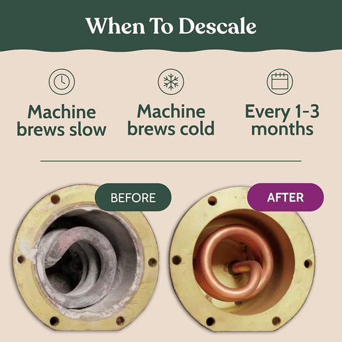 Breville Compatible Descaling Solution, Specially Formulated to Clean & Descale Espresso Machine, 2 Pack