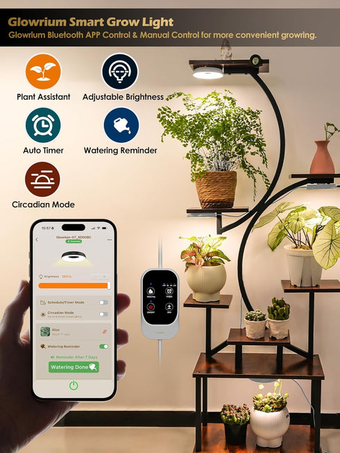 16W Dimming,Plant 2 GLOWRIUM Grow Lights for Indoor Plants, Smart Full Spectrum LED Grow Light, Auto Timer and Stepless