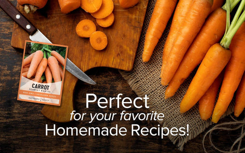 2 Gardeners Basics Carrot Seeds for Planting - Scarlet Nantes - is A Great Heirloom, Non-GMO Vegetable Variety, Grams