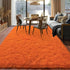 Super Fluffy Rug for Bedroom, 4x6 Feet Modern Shag Orange Area Rugs, Soft Plush Carpet for Kids and Teens