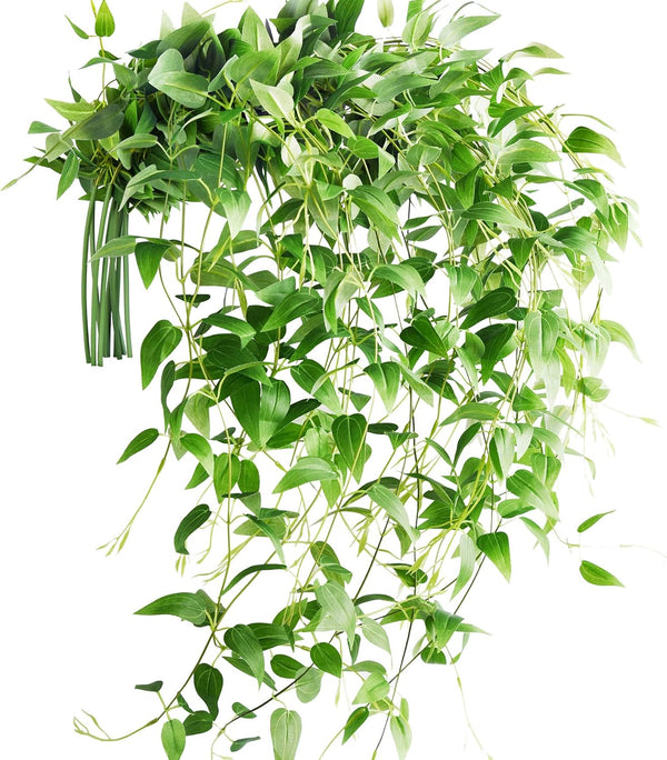 FiveSeasonStuff 28ft 10-Vine Set, Elegant Artificial Silk Clematis Leaves, Versatile Decor for Any Occasion