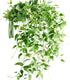 FiveSeasonStuff 28ft 10-Vine Set, Elegant Artificial Silk Clematis Leaves, Versatile Decor for Any Occasion