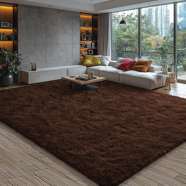 EVOIONOS 5x7 Washable Large Area Rug for Living Room, Fluffy Shag Rug