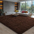 EVOIONOS 5x7 Washable Large Area Rug for Living Room, Fluffy Shag Rug