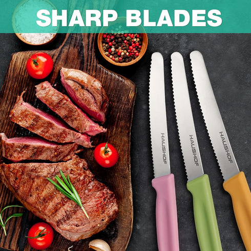 HAUSHOF Steak Knives Set of 4, Premium Stainless Steel Serrated Knife Set with Gift Box, Assorted Color