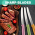 HAUSHOF Steak Knives Set of 4, Premium Stainless Steel Serrated Knife Set with Gift Box, Assorted Color