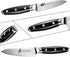 TUO 3.5 Inch Paring Knife - Ultra Sharp Peeling Knife - High Carbon Stainless Steel with G10 Handle Gift Box