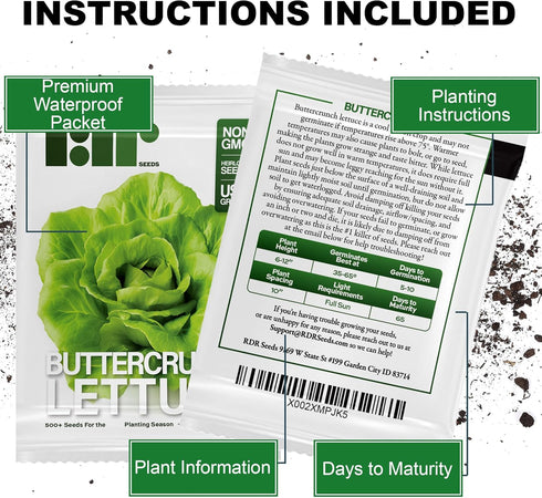 500 Buttercrunch Lettuce Seeds for Planting - Heirloom Non-GMO Vegetable Seeds for Planting - Hydroponics - Microgreens