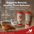 RentACoop Chicken Treat Dispenser Multi-Treat Enrichment Toy and Boredom Buster for Chickens, Easy Top-Fill