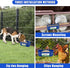 6 Pack Chicken Feeder Waterer, Duck Feeder Supplies, Hanging Fence Feed Trough with Clips for Goat, Sheeple, Piglet