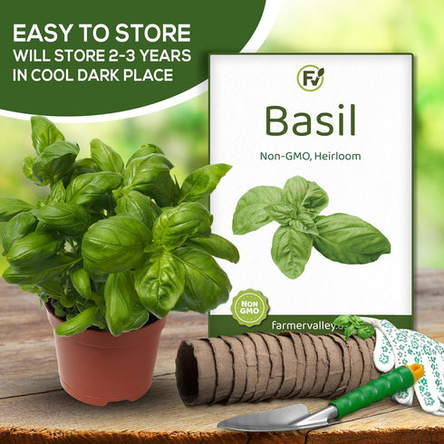 Pack 550+ Basil Seeds for Planting Home Garden Herbs - Individual of Heirloom Seeds, Suitable for Outdoors, Indoors