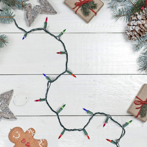 4' 20ct Northlight Mini Incandescent Christmas Lights - Multi-Color - Green Wire