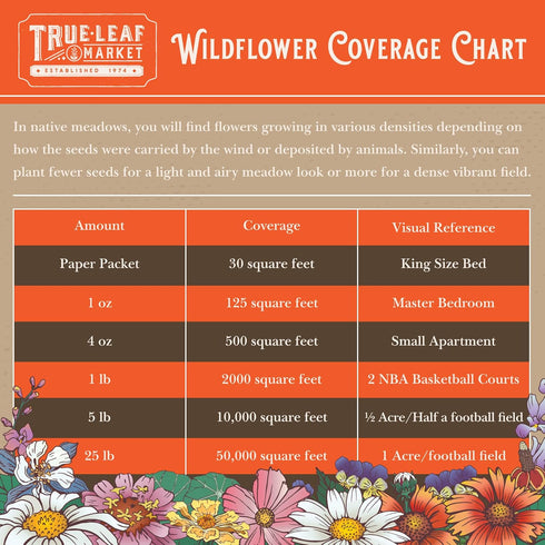 Wildflower Seeds Bulk, 2 Oz. – 80,000+ Seeds Butterfly & Hummingbird Mix, 23 Non-GMO Varieties for Pollinator Planting