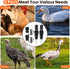 2 Pack Saillong Handheld Chicken Plucker, Electric Quick Poultry Plucker Machine for Removing The Pin Feathers